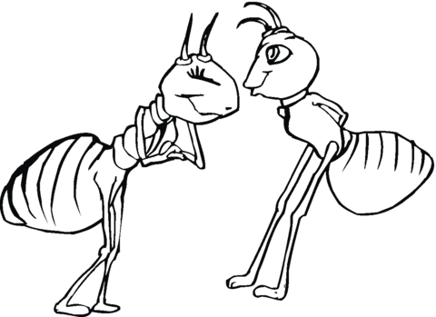 Ant Female And Ant Male Coloring Page